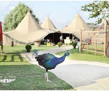 Green Hammerton Skipbridge Farm Shepherds Huts Campground מראה חיצוני תמונה