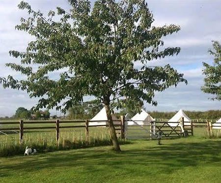 Green Hammerton Skipbridge Farm Shepherds Huts Campground מראה חיצוני תמונה