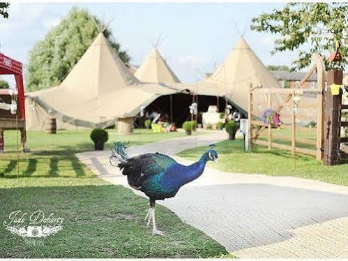Green Hammerton Skipbridge Farm Shepherds Huts Campground מראה חיצוני תמונה