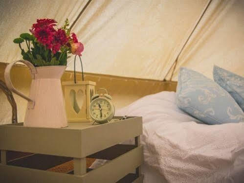 Green Hammerton Skipbridge Farm Shepherds Huts Campground מראה חיצוני תמונה