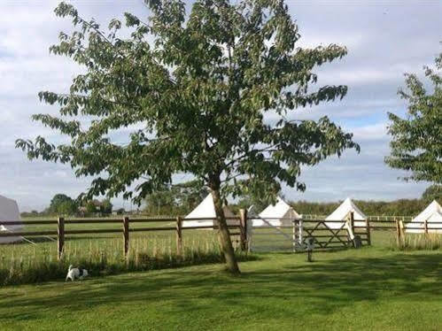 Green Hammerton Skipbridge Farm Shepherds Huts Campground מראה חיצוני תמונה