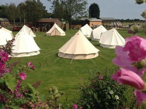 Green Hammerton Skipbridge Farm Shepherds Huts Campground מראה חיצוני תמונה